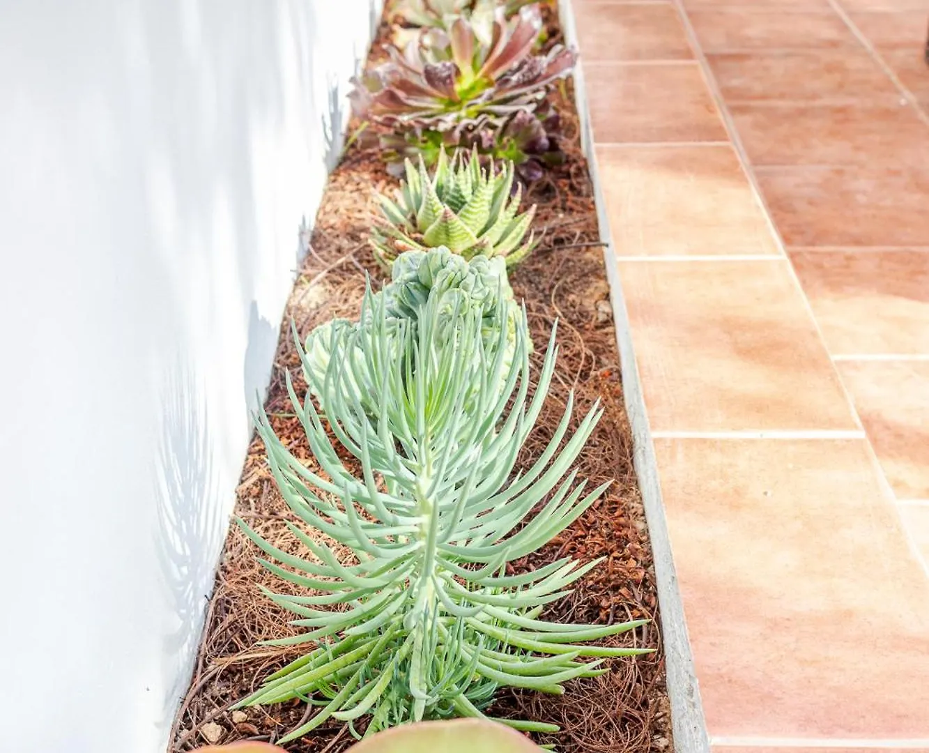 Appartamento Sonneland Large & Private Terrace Maspalomas  Spagna